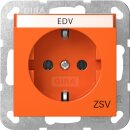 Gira 4457109 SCHUKO-Steckdose mit Beschriftungsschild EDV...