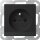 Gira 4489005 Steckdose Erdstift LED-Leuchte mit Shutter System 55 Schwarz matt