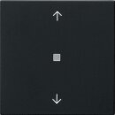 Gira 5382005 System 3000 Bedienaufsatz BT Pfeilsymbole...