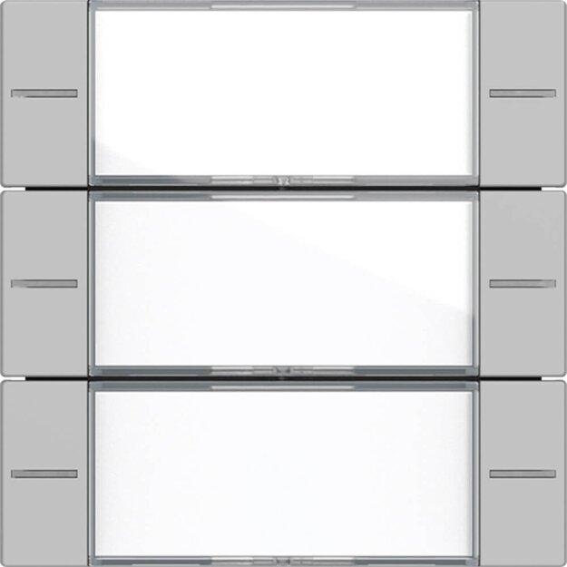 Gira 5773015 Wippenset 3-fach mit Beschriftungsfeld für Tastsensor 4 System 55 Klar/Grau matt