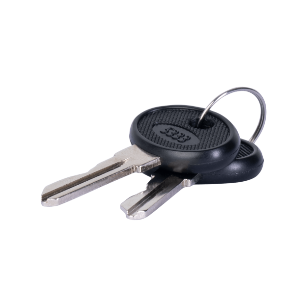 F-Tronic 7110313 Schlüssel EuroKey 5333 2 Stück