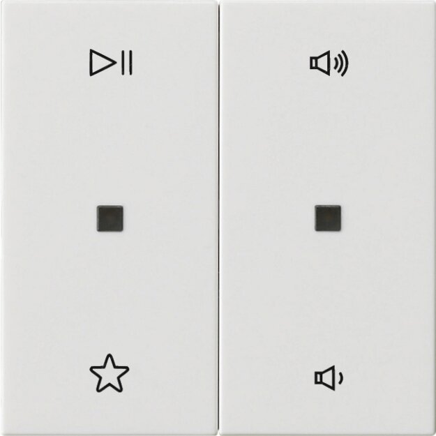 Gira 538403 Wippe 2-fach Audiosteuerung System 55 Reinweiß