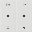 Gira 538403 Wippe 2-fach Audiosteuerung System 55...