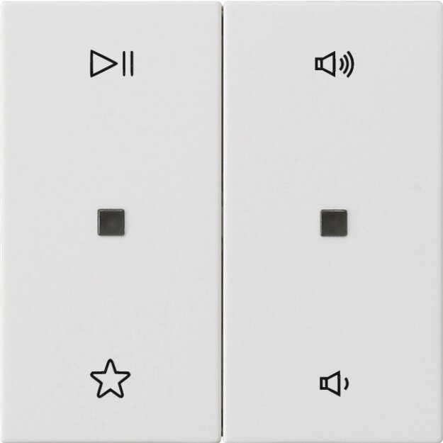Gira 538427 Wippe 2-fach Audiosteuerung System 55 Reinweiß matt