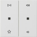 Gira 538427 Wippe 2-fach Audiosteuerung System 55...