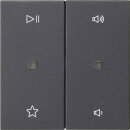 Gira 538428 Wippe 2-fach Audiosteuerung System 55 Anthrazit