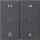 Gira 538428 Wippe 2-fach Audiosteuerung System 55 Anthrazit