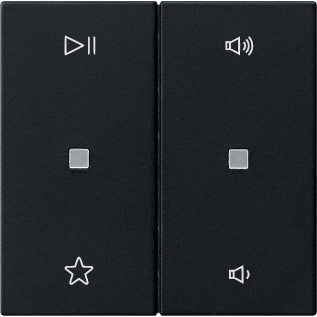 Gira 5384005 Wippe 2-fach Audiosteuerung System 55 Schwarz matt