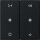 Gira 5384005 Wippe 2-fach Audiosteuerung System 55 Schwarz matt