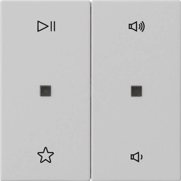 Gira 5384015 Wippe 2-fach Audiosteuerung System 55 Grau matt