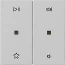 Gira 5384015 Wippe 2-fach Audiosteuerung System 55 Grau matt