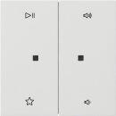 Gira 5384112 Wippe 2-fach Audiosteuerung...