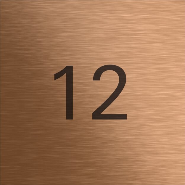 Gira 5560921 Info-Modul System 106 Bronze