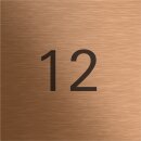 Gira 5560921 Info-Modul System 106 Bronze