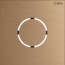 Gira 5578921 Frontplatte Sprachmodul System 106 Bronze