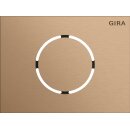 Gira 5579921 Frontplatte Türstationsmodul System 106...