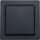 Eltako 30055742 Wipptaster 1 Schließer Anthrazit matt E-Design55 WT55E-am