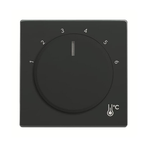 Busch-Jaeger 1794 R-81 Zentralscheibe Temperatur rund