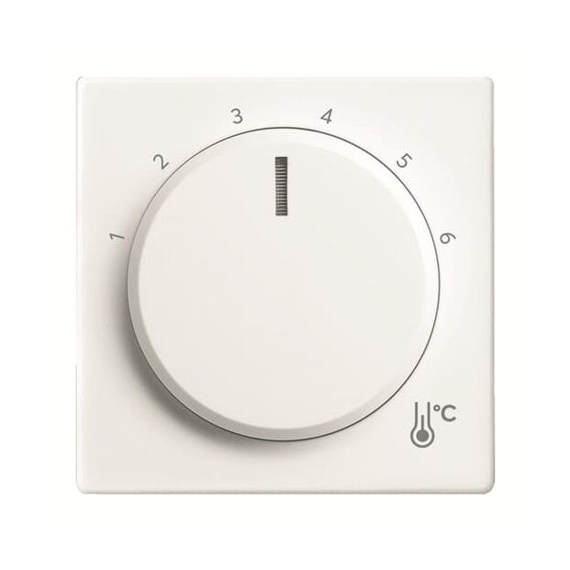 Busch-Jaeger 1794 R-884 Zentralscheibe Temperatur rund