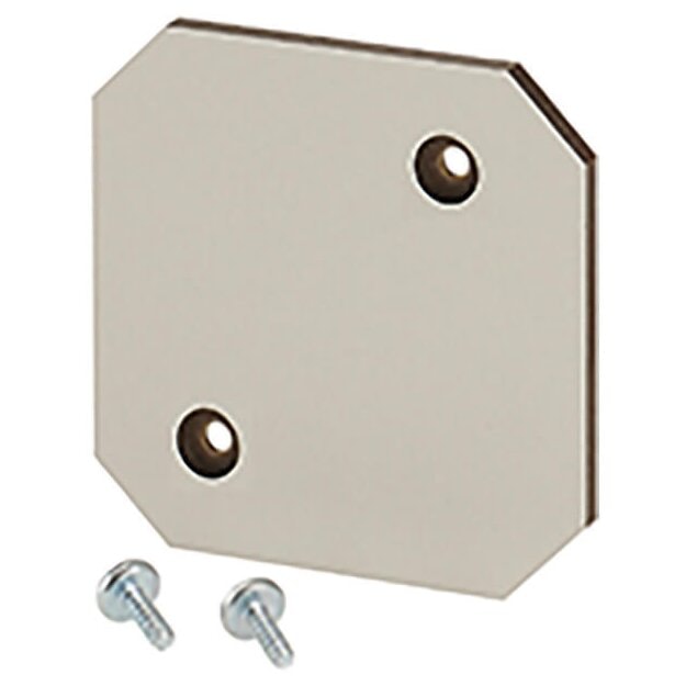 Hensel EB MP 02 Montageplatte aus Isolierstoff 4 mm stark, für EB 02.. Leergehäuse