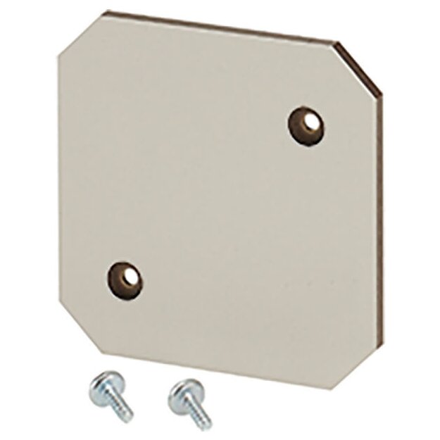 Hensel EB MP 04 Montageplatte aus Isolierstoff 4 mm stark, für EB 04.. Leergehäuse