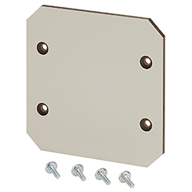 Hensel EB MP 06 Montageplatte aus Isolierstoff 4 mm stark, für EB 06.. Leergehäuse