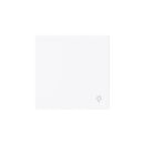 Busch-Jaeger 2520 LI-44G Wippe geschlossen mit Symbol...