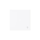 Busch-Jaeger 6231-10-44G Wippe 1-fach mit Symbol...