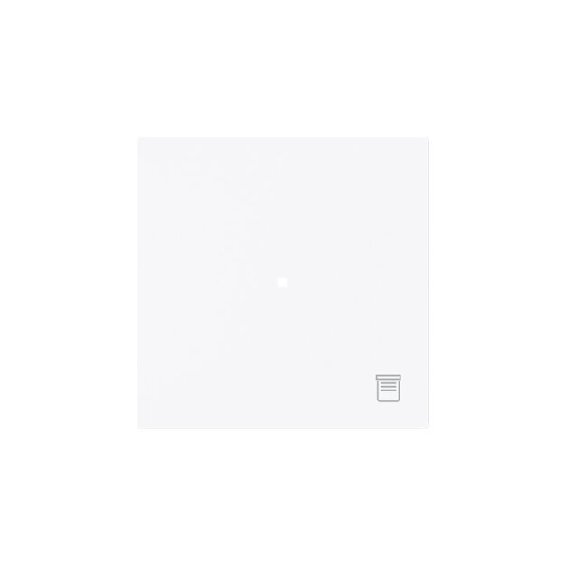 Busch-Jaeger 6232-10-44G Wippe 1-fach mit Symbol "Jalousie" 2CKA006220A0936