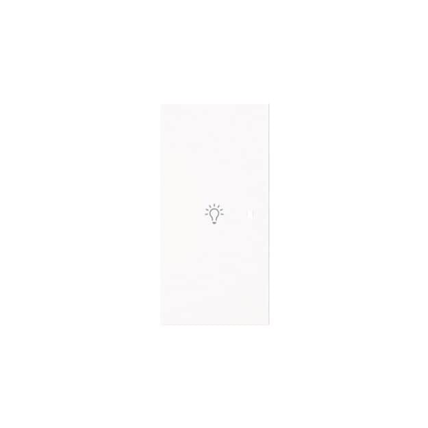 Busch-Jaeger 6231-21-44G Wippe 2-fach links mit Symbol "Licht" 2CKA006220A0948