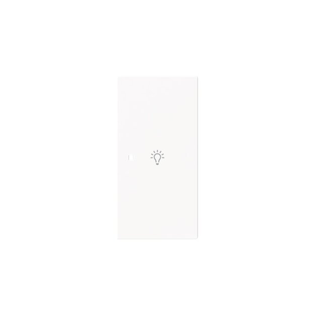 Busch-Jaeger 6231-22-44G Wippe 2-fach rechts mit Symbol "Licht" 2CKA006220A0952