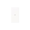 Busch-Jaeger 6231-22-44G Wippe 2-fach rechts mit Symbol...