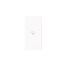 Busch-Jaeger 6234-21-44G Wippe 2-fach links mit Symbol...