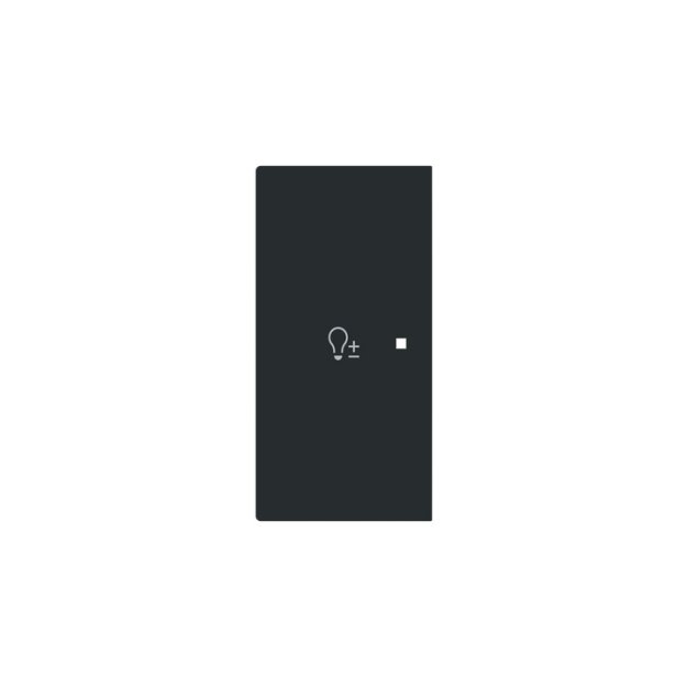 Busch-Jaeger 6234-21-45M Wippe 2-fach links mit Symbol "Dimmer" 2CKA006220A0959