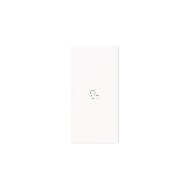 Busch-Jaeger 6234-22-44G Wippe 2-fach rechts mit Symbol "Dimmer" 2CKA006220A0960