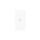 Busch-Jaeger 6233-22-44G Wippe 2-fach rechts mit Symbol...