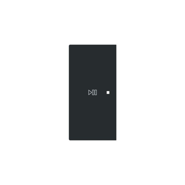 Busch-Jaeger 6237-21-45M Wippe 2-fach links Symbol "Play/Pause" 2CKA006220A0979