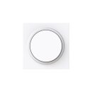 Busch-Jaeger 6540-44G-102 Zentralscheibe - Drehdimmer mit...