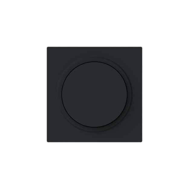 Busch-Jaeger 6540-45M-102 Zentralscheibe - Drehdimmer mit Drehknopf 2CKA006599A3055