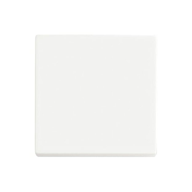 Busch-Jaeger 6735 BT-884 Wippe 1-fach für Bedienelement Smart Switch 2CKA006730A0149