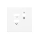 Busch-Jaeger 8256-84 Zent.Sch. Media Connector 8256-84...
