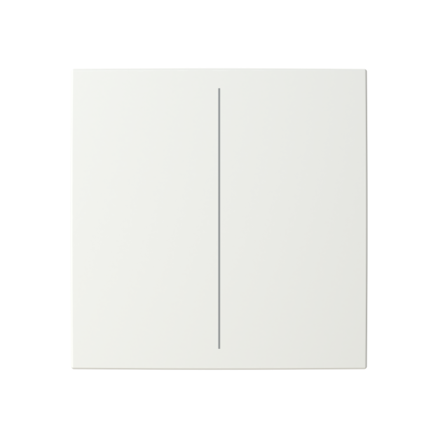 Busch-Jaeger LFW/A.2.55.11-914 Abdeckung, 2fach für Keypad 2CKA006199A0164