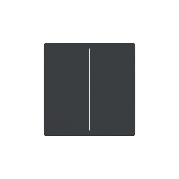 Busch Jaeger LFW/A.2.63.11-81 Abdeckung 2fach Keypad Axcent Anthrazit