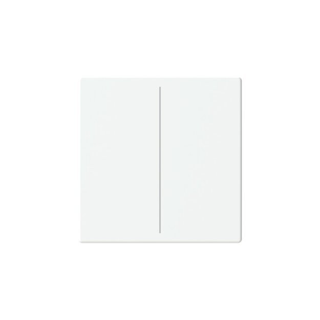 Busch-Jaeger LFW/A.2.63.11-884 Abdeckung, 2-fach für Keypad 2CKA006199A0054