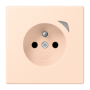 Jung BTLC1521FSE228 JUNG HOME Steckdose Energy,...