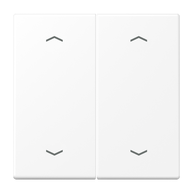Jung LS995MPWWM Wippe mit Pfeilsymbolen 2fach Farbe Schneeweiß Matt