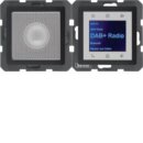 Berker 29806086 Radio Touch mit Lautsprecher DAB+ Q.x...