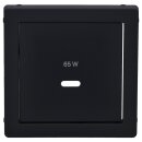 Berker 48606086 Zentralstück für USB Q.x...