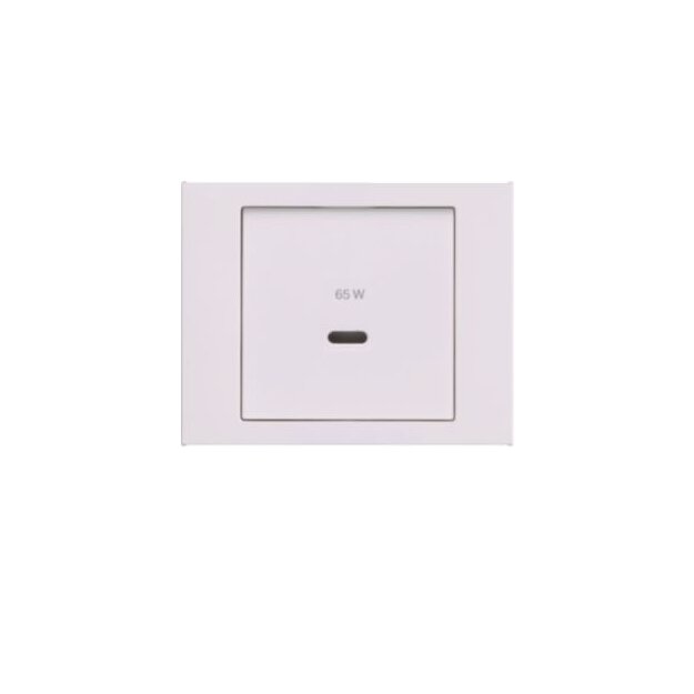 Berker 48607009 Zentralstück für USB K.x polarweiß glänzend