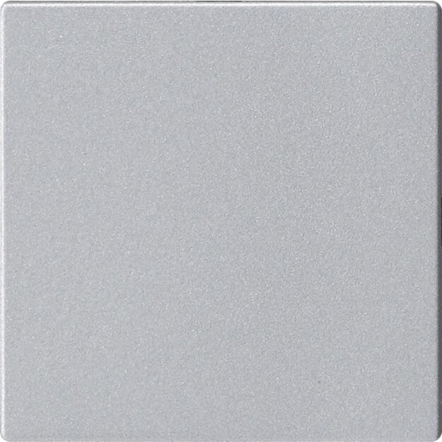 Gira 810826 Blindabd. o.Tragring System 55 F Alu